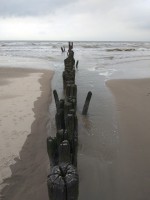 /album/fotos/img-20200930-152311-small-jpg/